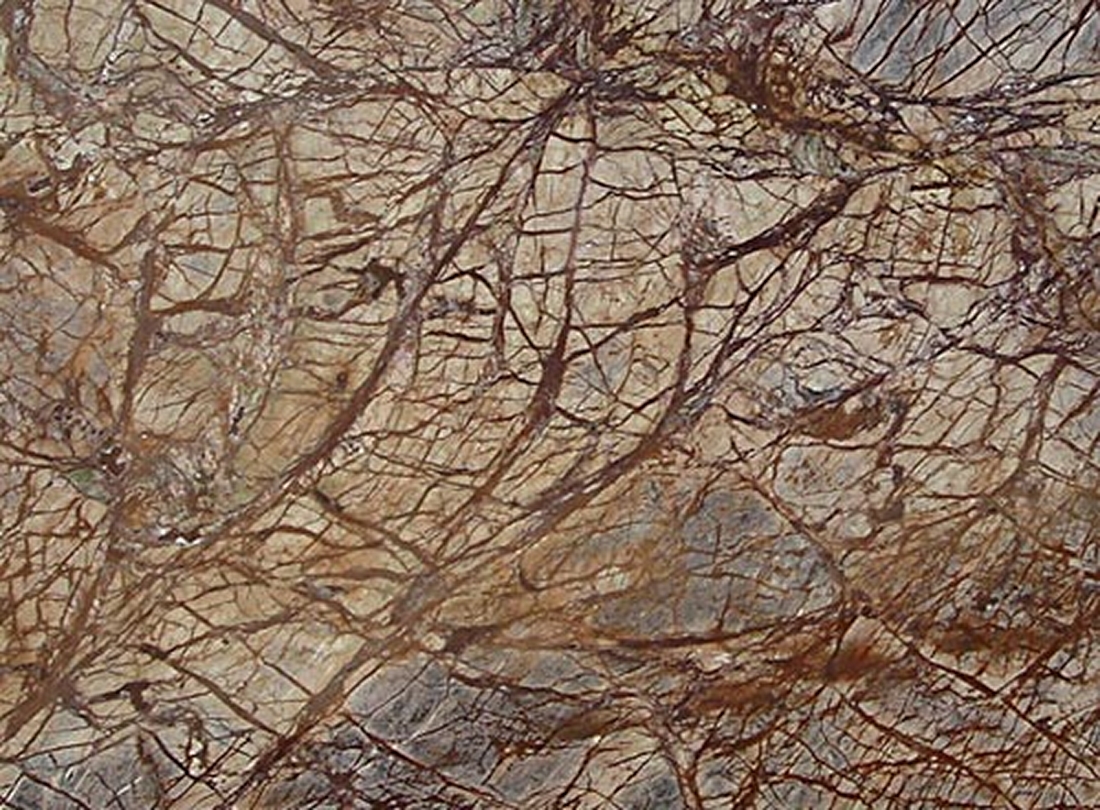 Granite Forest Brown